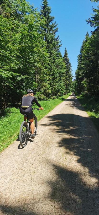 Ferienwohnung Apartman Lipno - Kovarov Pro Cyklisty A Motorkare Frymburk nad Vltavou Exterior foto