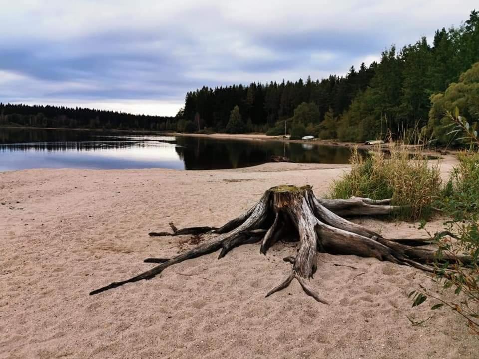 Ferienwohnung Apartman Lipno - Kovarov Pro Cyklisty A Motorkare Frymburk nad Vltavou Exterior foto