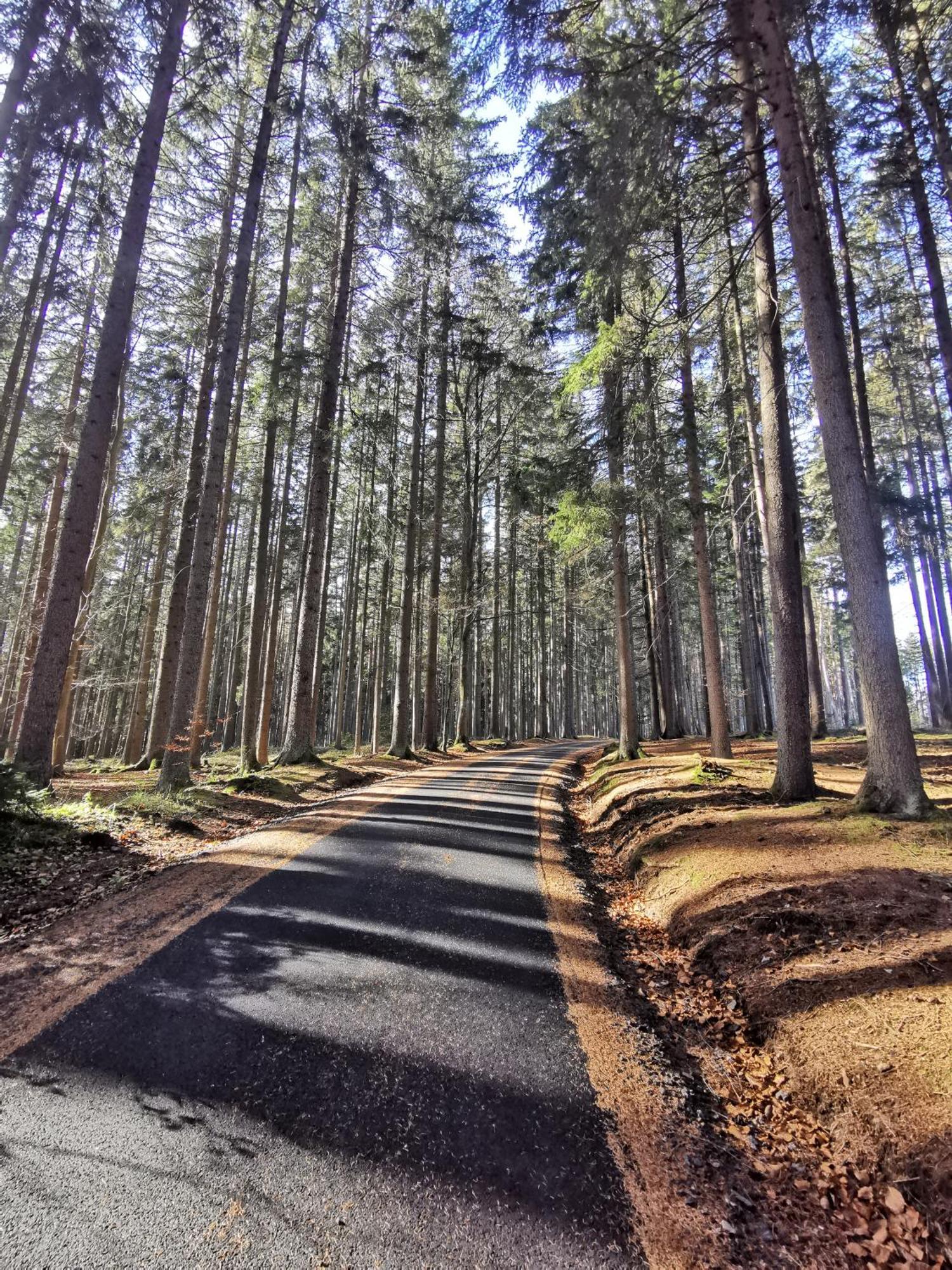 Ferienwohnung Apartman Lipno - Kovarov Pro Cyklisty A Motorkare Frymburk nad Vltavou Exterior foto